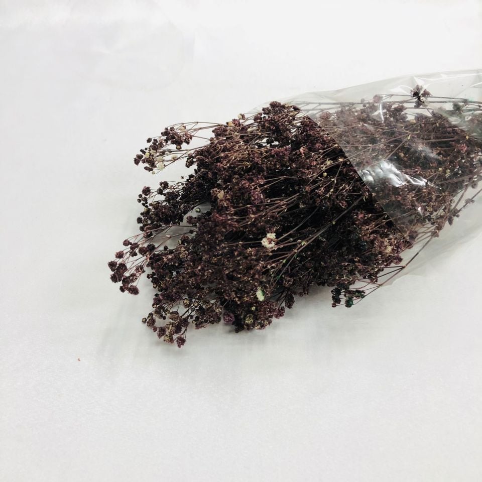 CİPSO ÇİÇEK MÜRDÜM RENK KURU ÇİÇEK