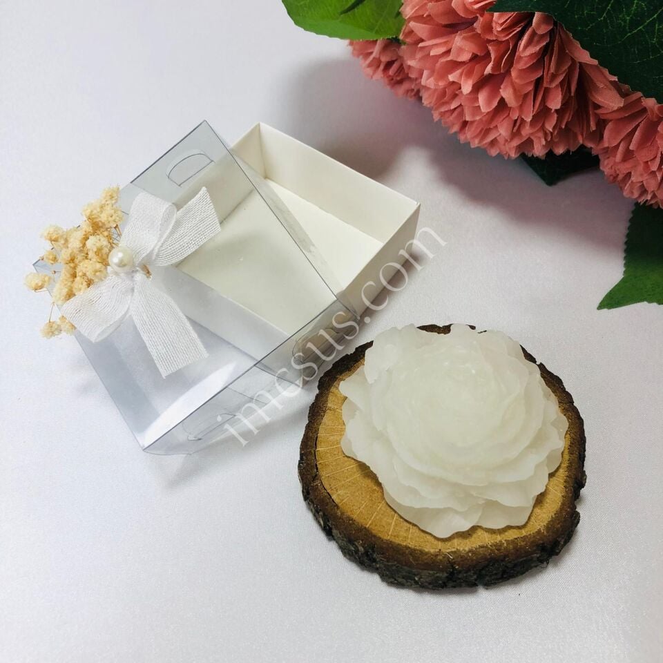 ASETAT KUTULU ŞAKAYIK MUM SÜSLEME