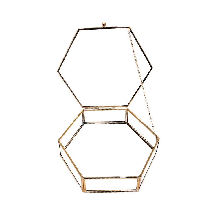 CAM KUTU ALTIGEN KAPAKLI 20*6cm