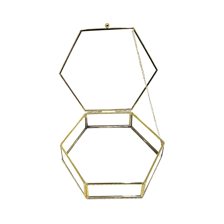 CAM KUTU ALTIGEN KAPAKLI 20*6cm