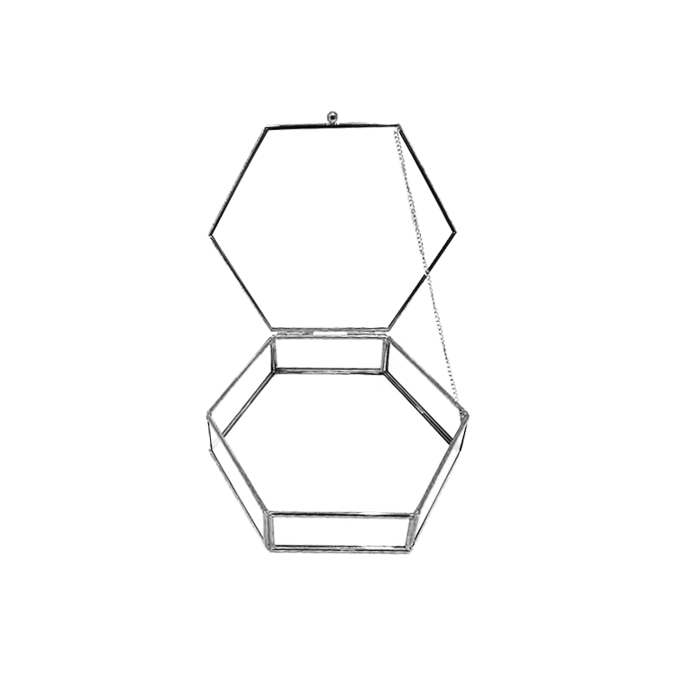 CAM KUTU ALTIGEN KAPAKLI 20*6cm