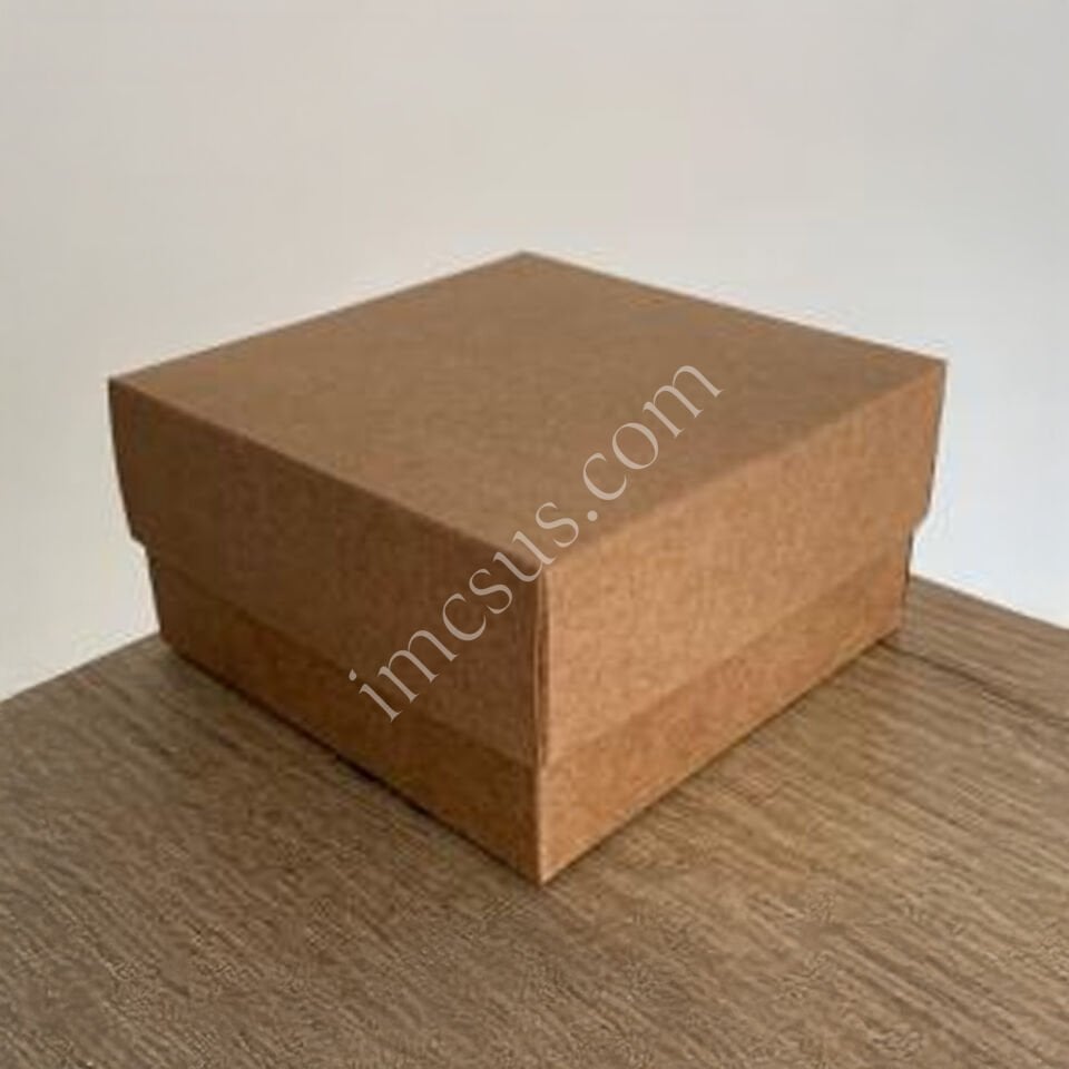 10x10x5 Kraft Komple Karton Kutu