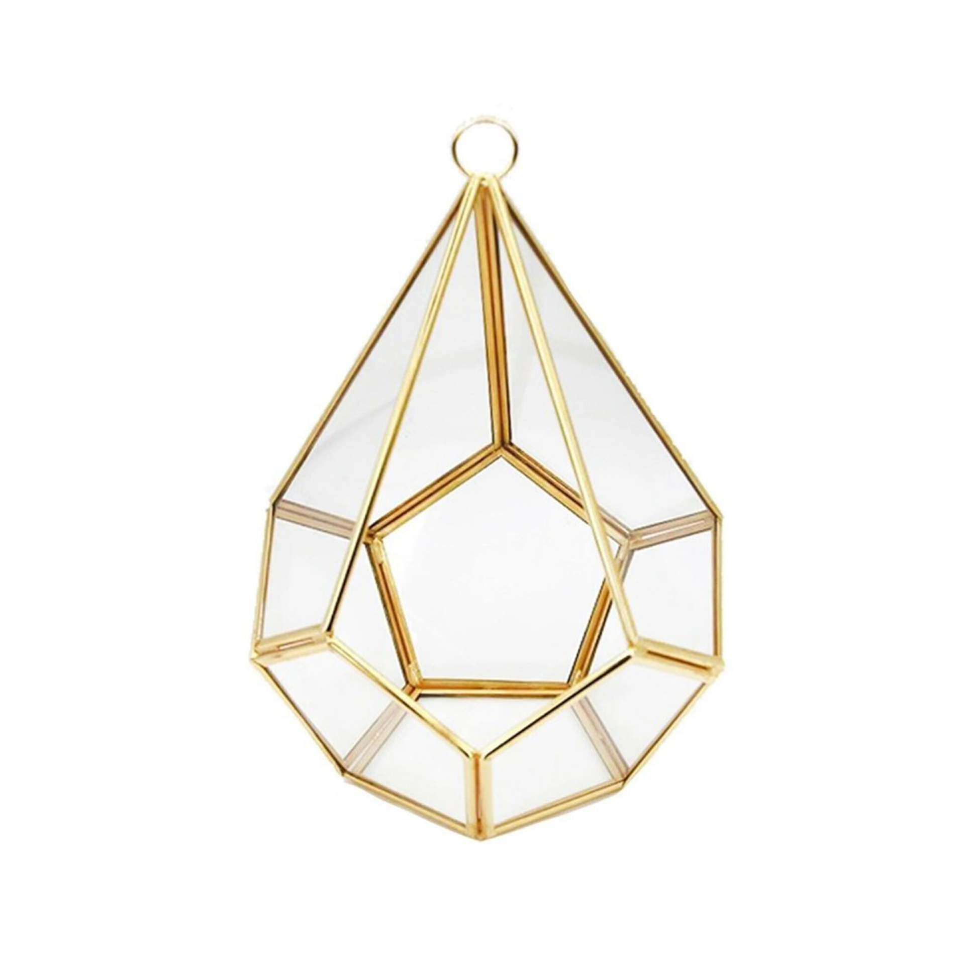 CAM KUTU TERARYUM BEŞGEN ORTA BOY 30cm*20cm