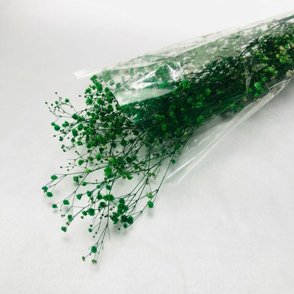 CİPSO ÇİÇEK YEŞİL RENK KURU ÇİÇEK