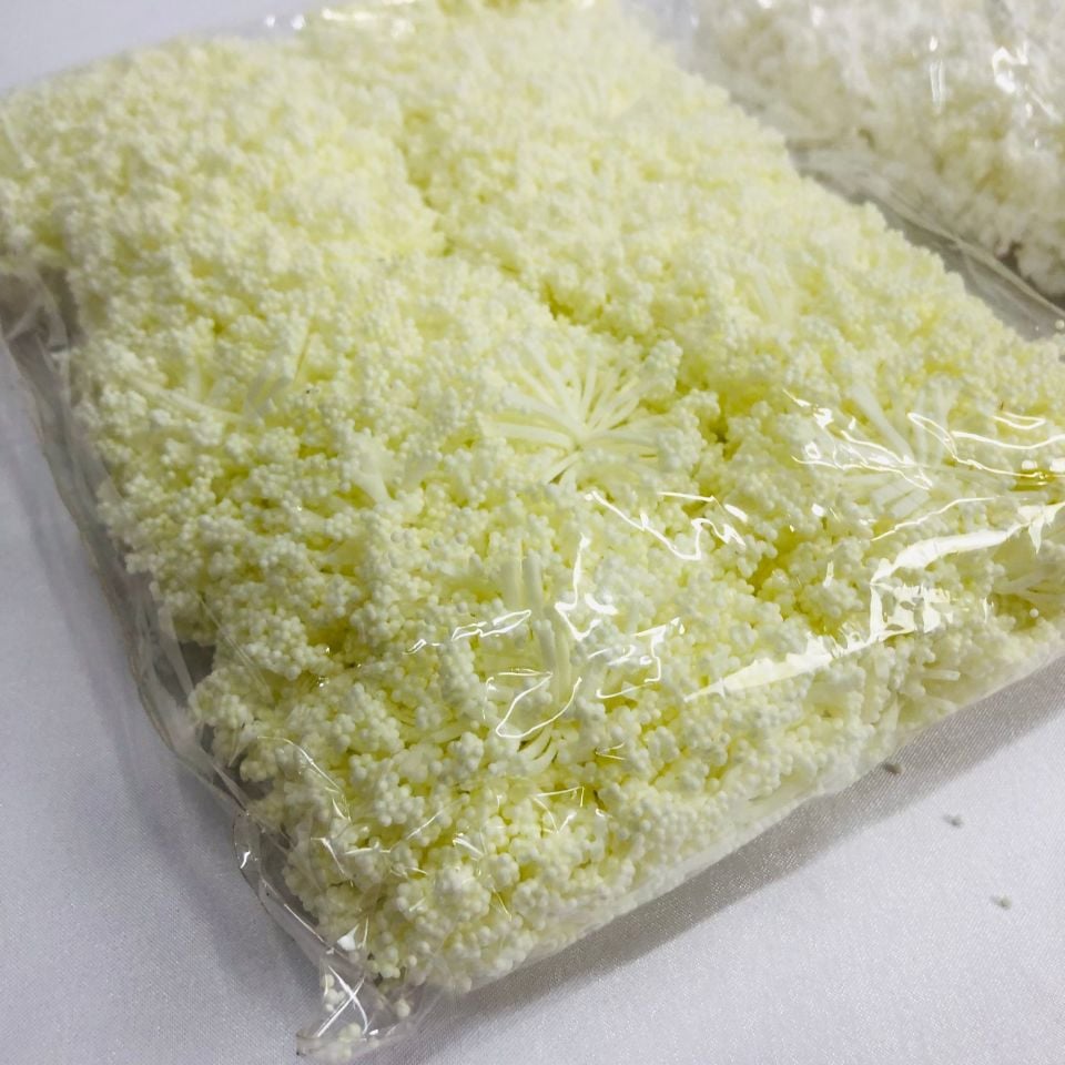 DÖKÜLEN PITIRCIK CİPSO