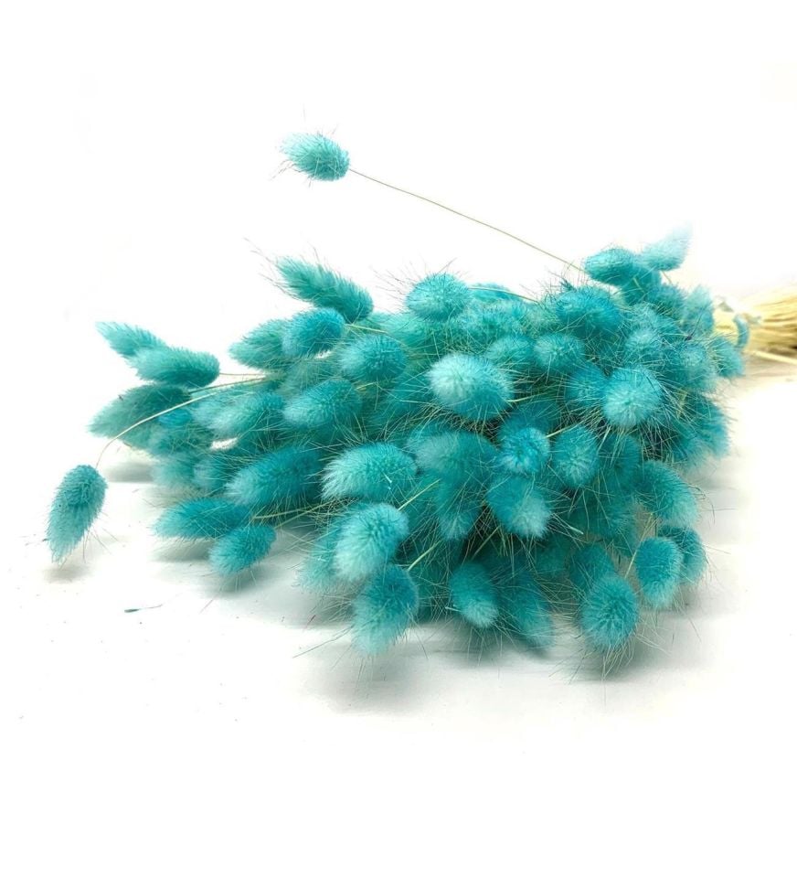 PAMUK OTU ÇİÇEK TURKUAZ RENK KURU ÇİÇEK