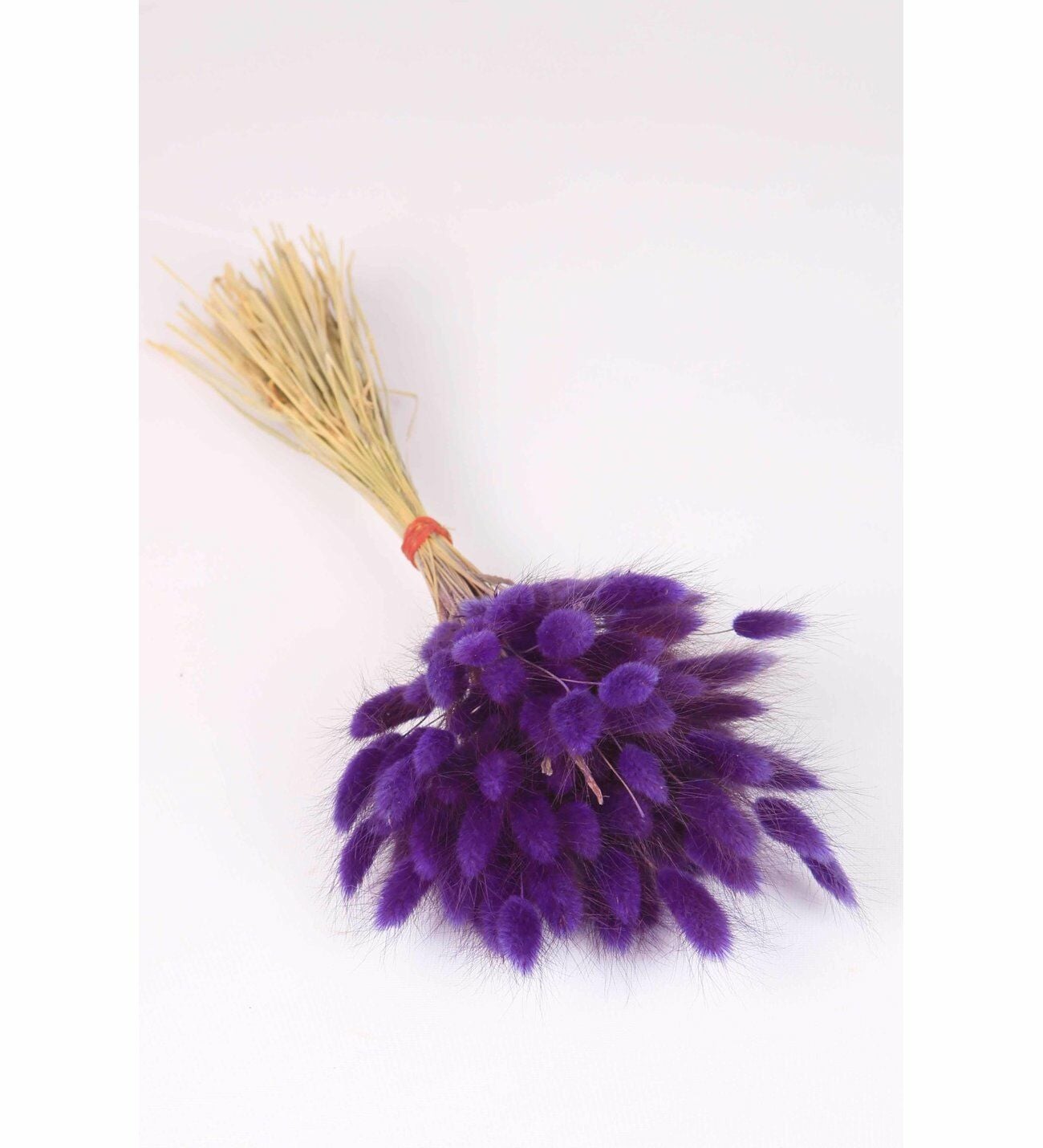 PAMUK OTU ÇİÇEK MOR RENK KURU ÇİÇEK