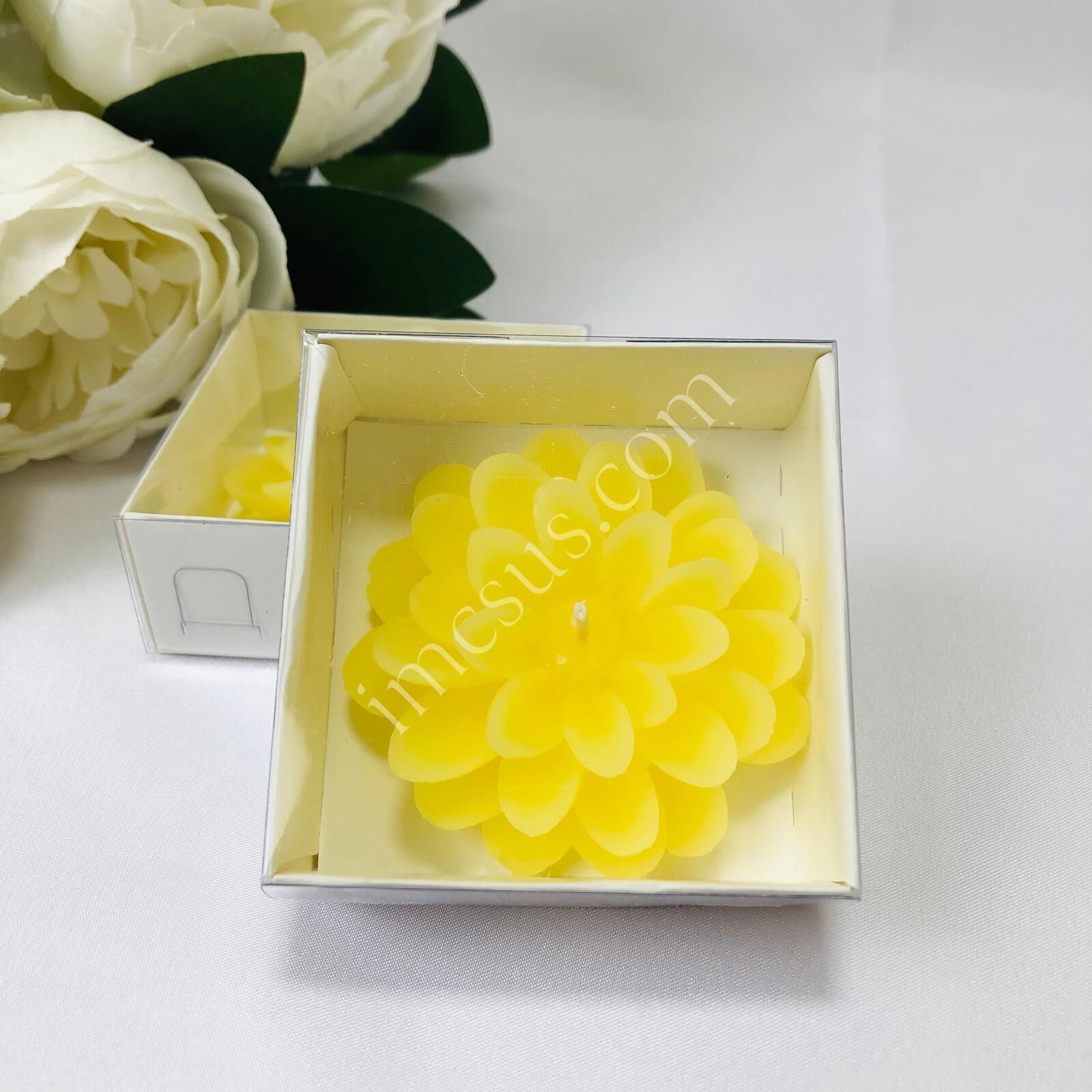 MUM ALT BEYAZ ASETAT KUTULU LOTUS 12'Lİ 7*2,5cm 1 Paket(12 Adet) - Sarı