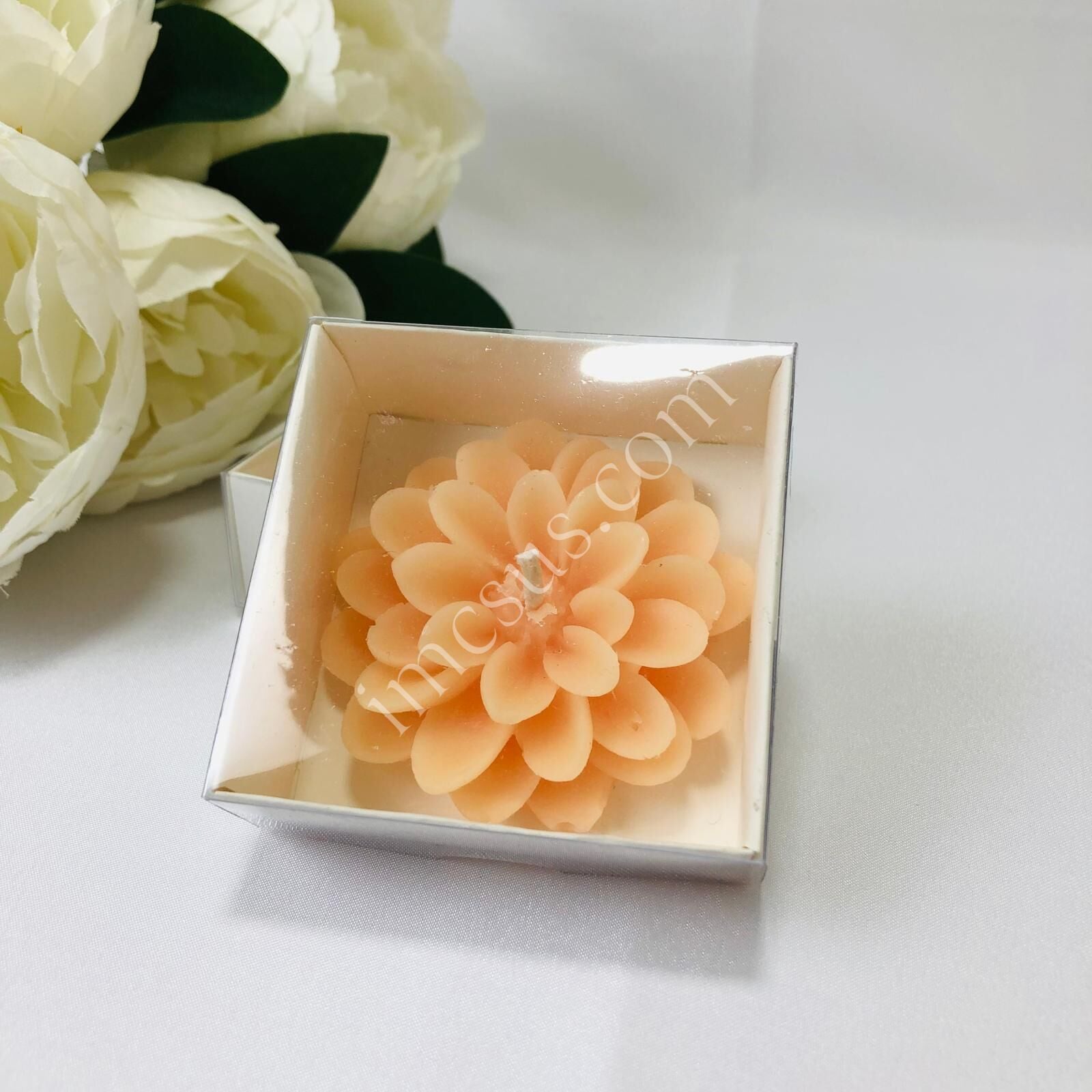 MUM ALT BEYAZ ASETAT KUTULU LOTUS 12'Lİ 7*2,5cm 1 Paket(12 Adet) - Yavruağzı
