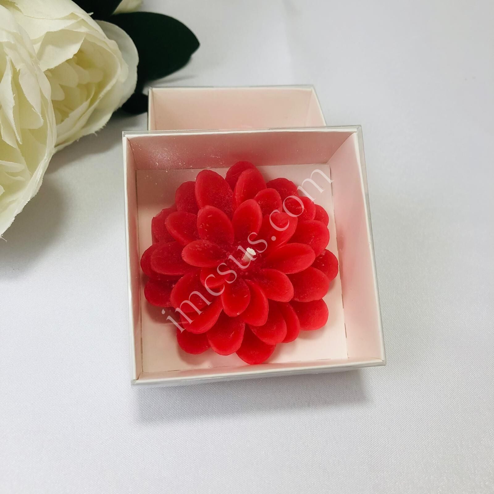 MUM ALT BEYAZ ASETAT KUTULU LOTUS 12'Lİ 7*2,5cm 1 Paket(12 Adet) - Kırmızı