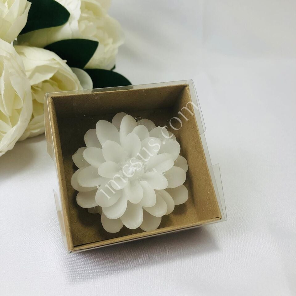LOTUS MUM ALT KRAFT ASETAT KUTULU 1 Paket(12 Adet) - Beyaz