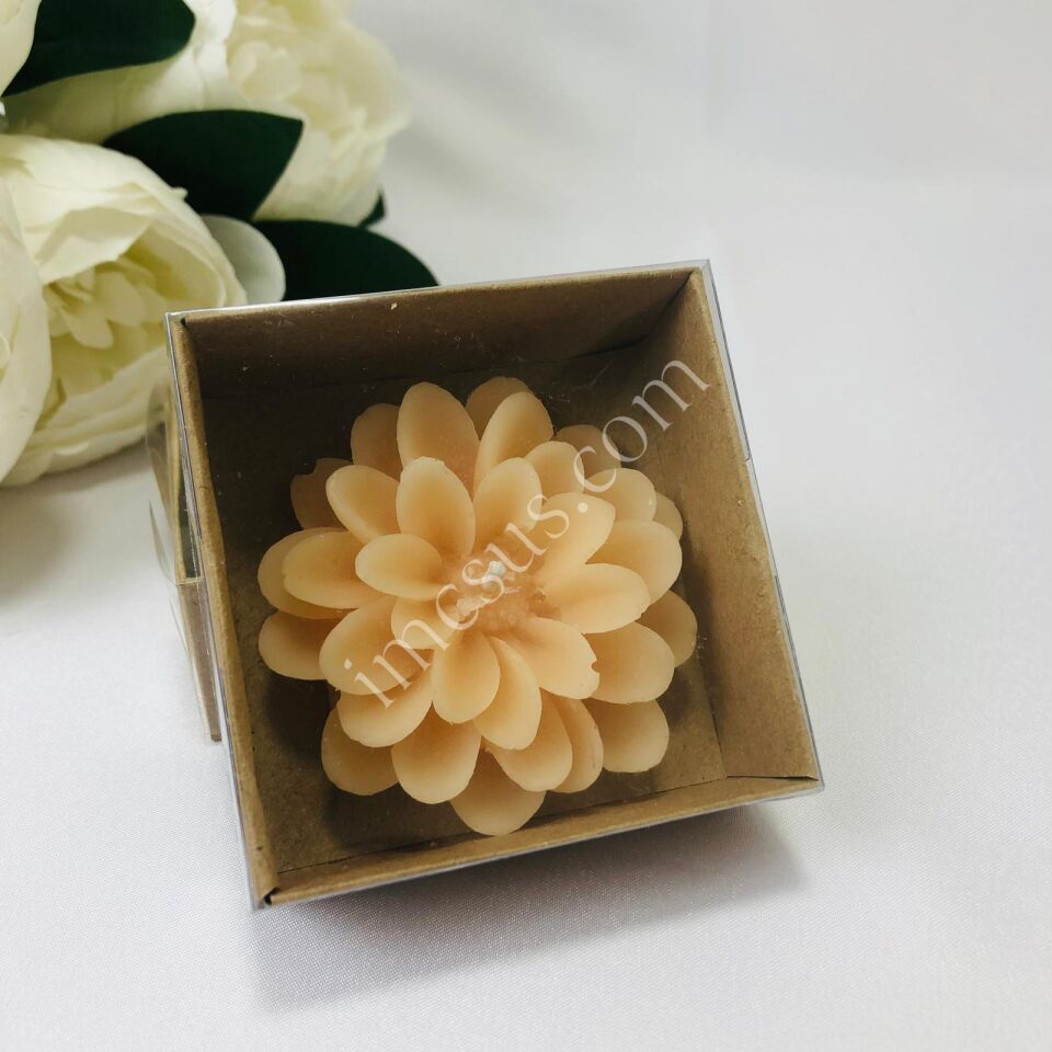 LOTUS MUM ALT KRAFT ASETAT KUTULU 1 Paket(12 Adet) - Yavruağzı