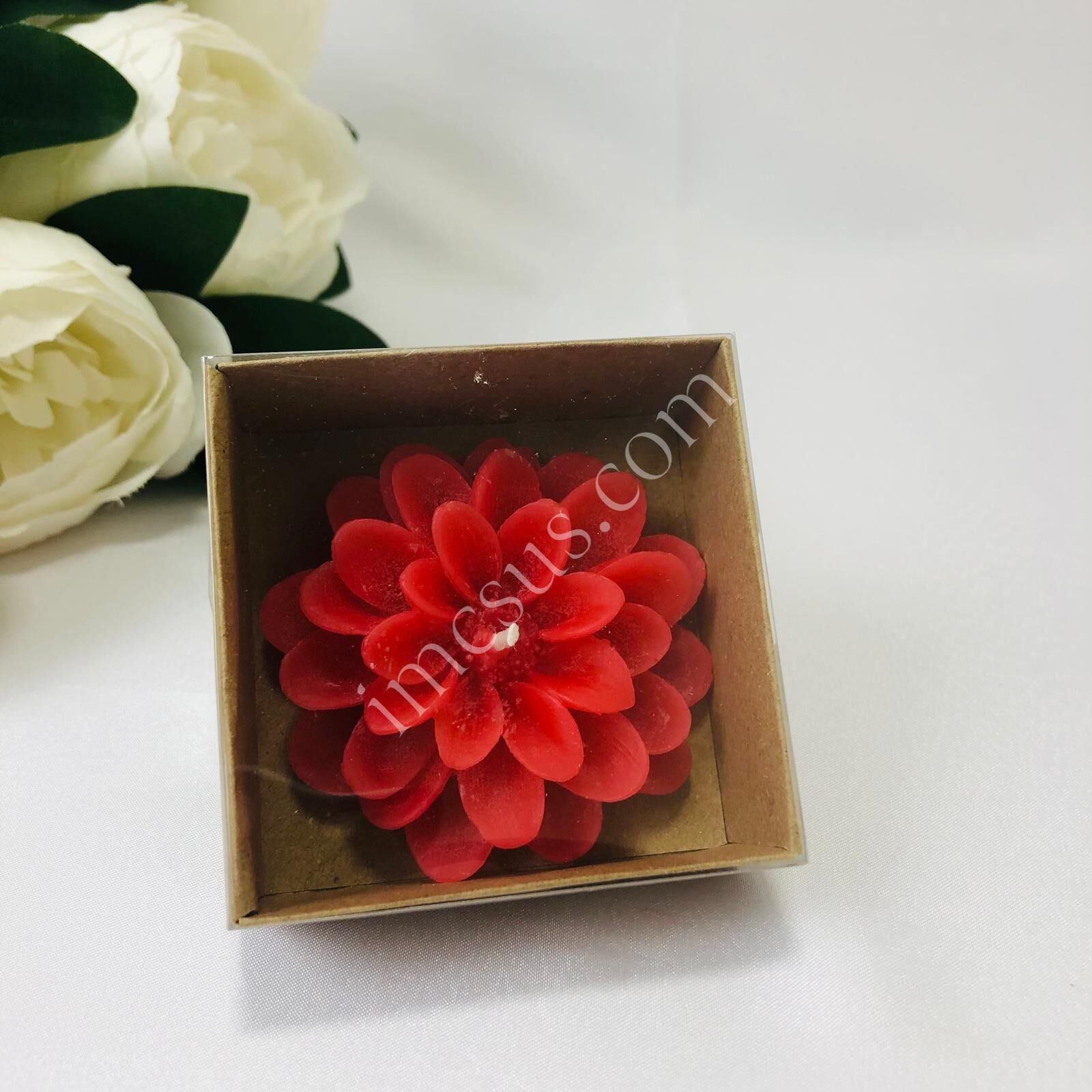 LOTUS MUM ALT KRAFT ASETAT KUTULU 1 Paket(12 Adet) - Kırmızı
