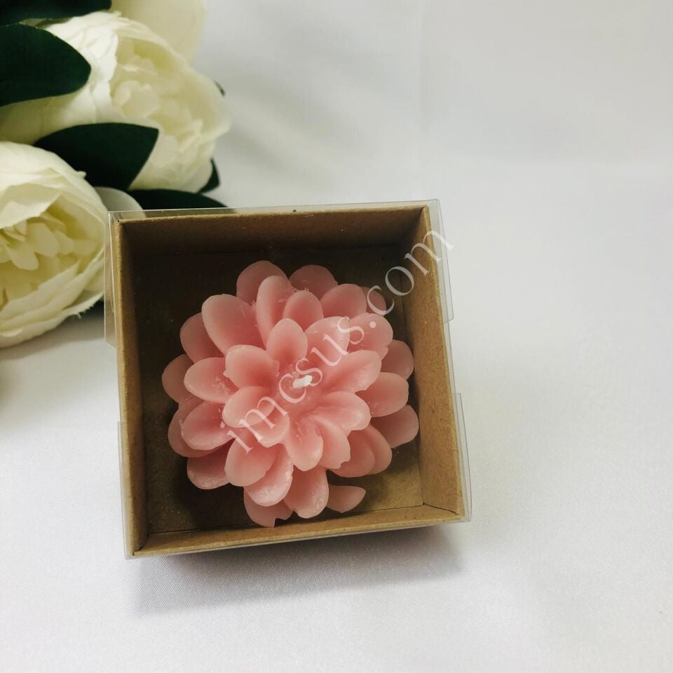 LOTUS MUM ALT KRAFT ASETAT KUTULU 1 Paket(12 Adet) - Somon