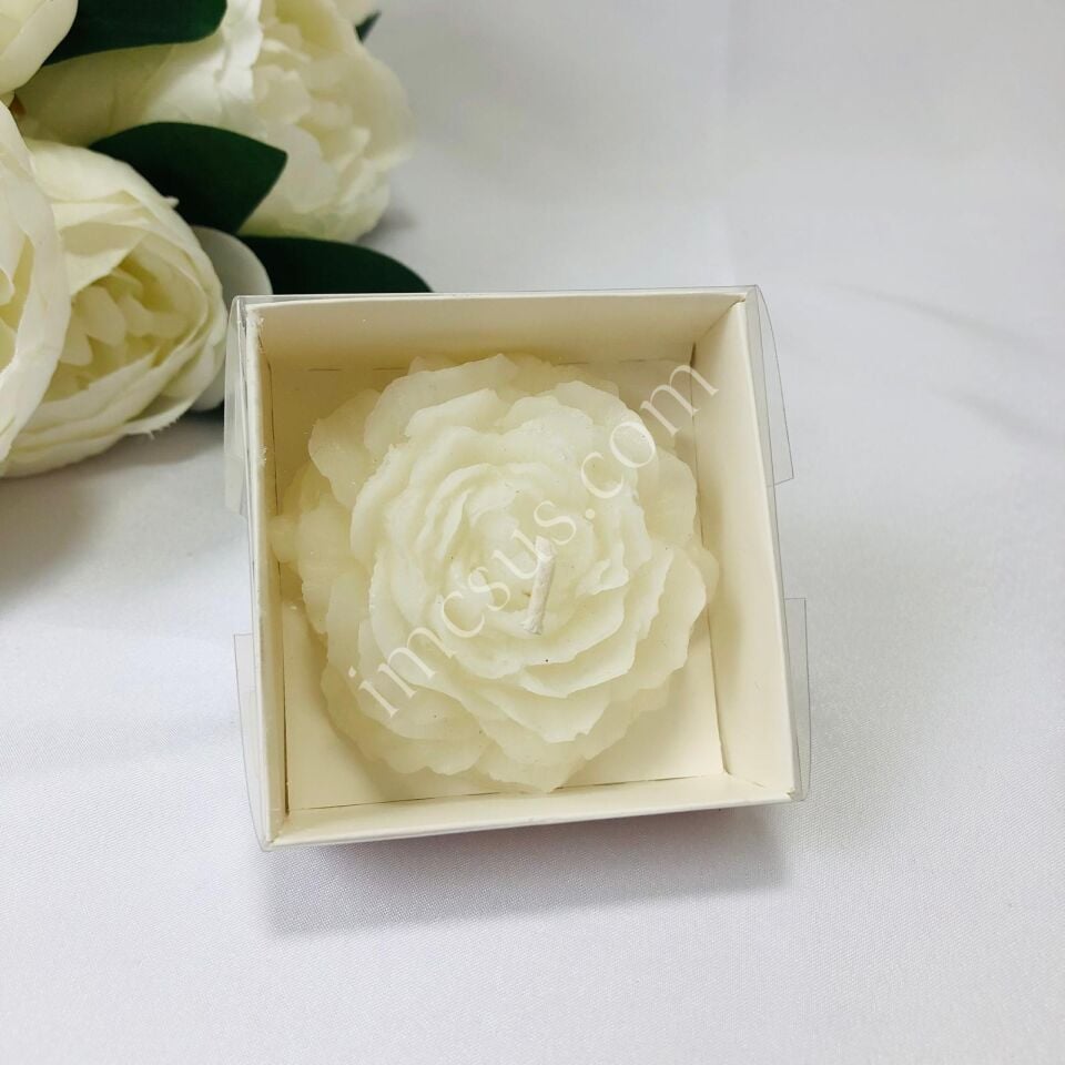ŞAKAYIK MUM ALT BEYAZ ASETAT KUTULU 12'Lİ Beyaz - 1 Paket(12 Adet)
