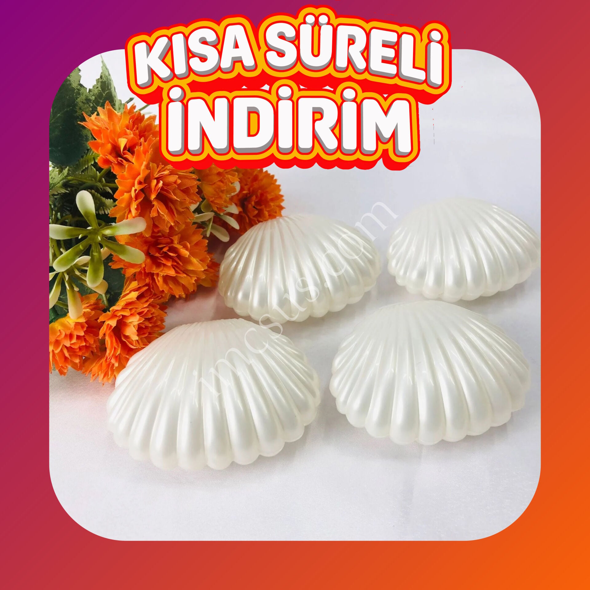 İSTİRİDYE KUTU SEDEF 12gr PLASTİK KAMPANYA