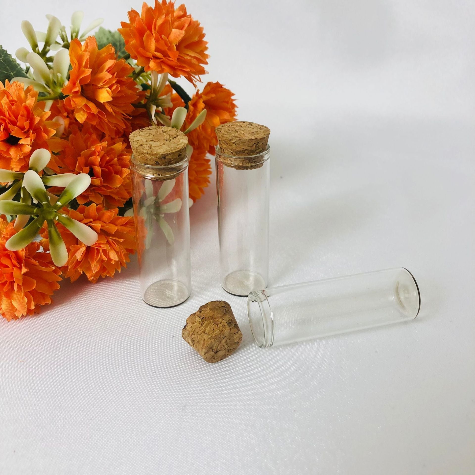 CAM DENEY TÜPÜ MANTAR TIPALI 6cm