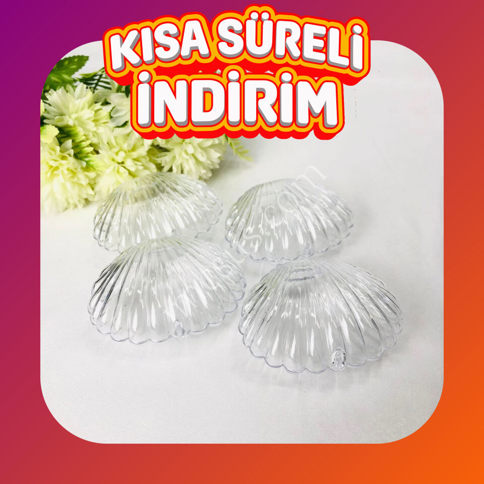MİKA İSTİRİDYE KUTU ŞEFFAF 25'Lİ KAMPANYA