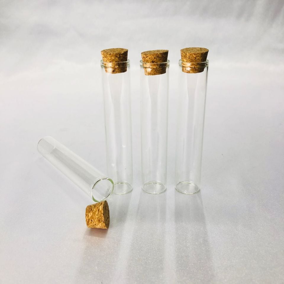 CAM DENEY TÜPÜ MANTAR TIPALI 10cm