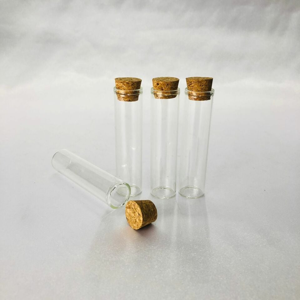 CAM DENEY TÜPÜ MANTAR TIPALI 8cm