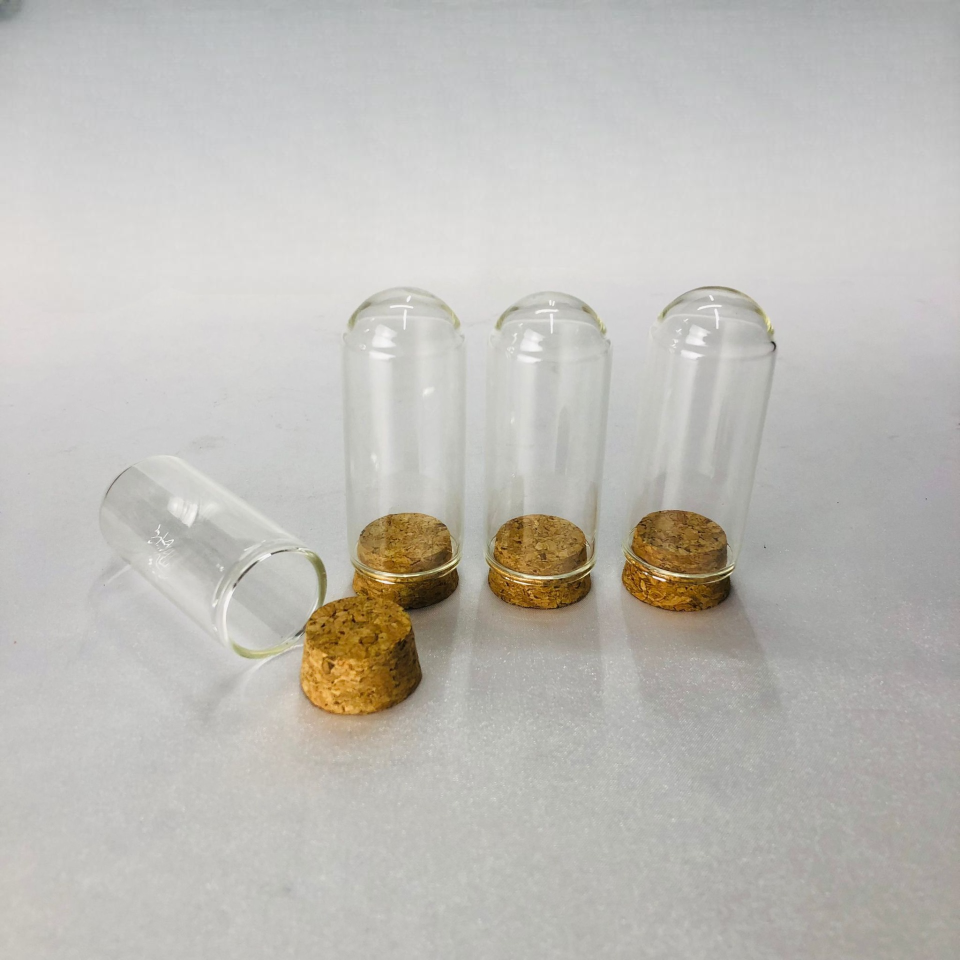 CAM DENEY TÜPÜ TERS MANTAR TIPALI