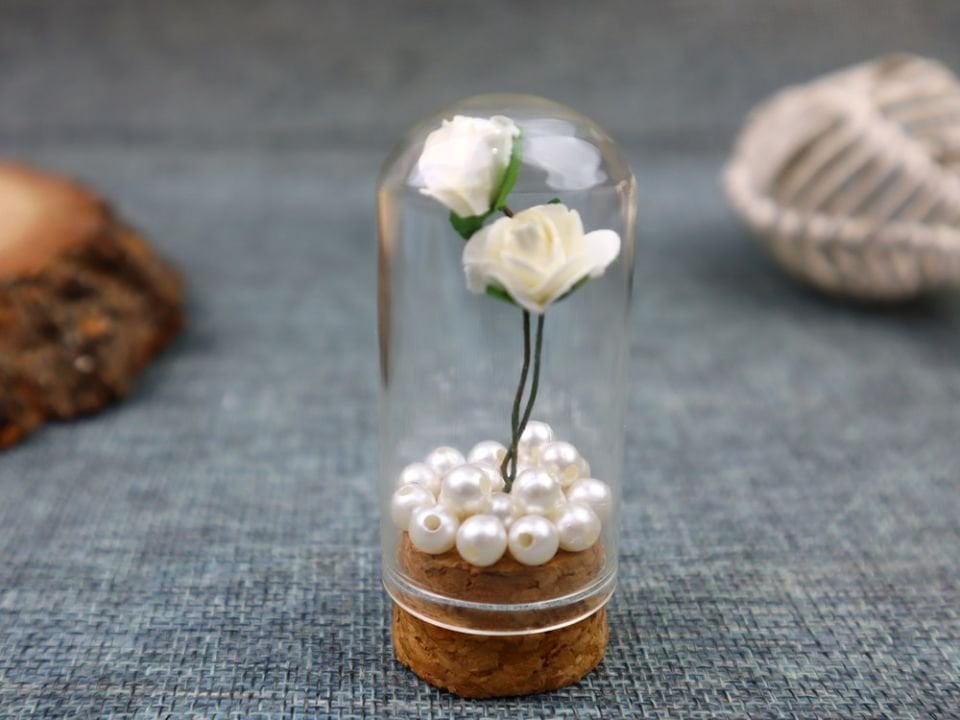 CAM DENEY TÜPÜ TERS MANTAR TIPALI