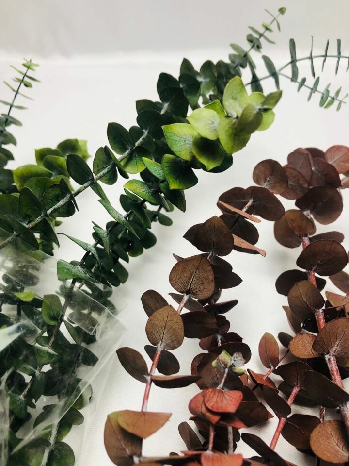 ÇİÇEK DOĞAL OKALİPTUS ÇİÇEĞİ