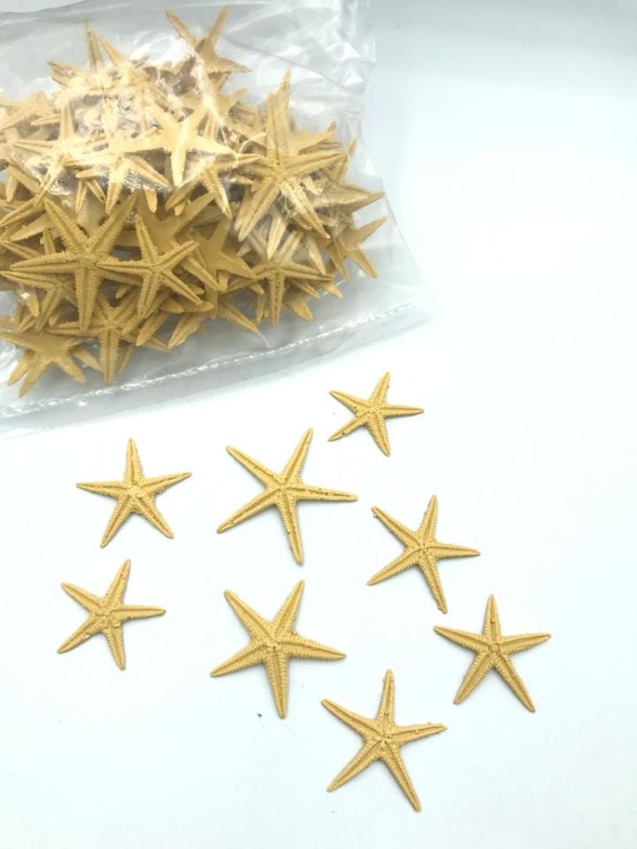 DOĞAL DENİZ YILDIZI 100'LÜ PAKET