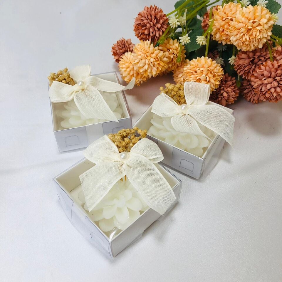 KUTULU LOTUS MUM SÜSLEME NOPEL FİYONKLU