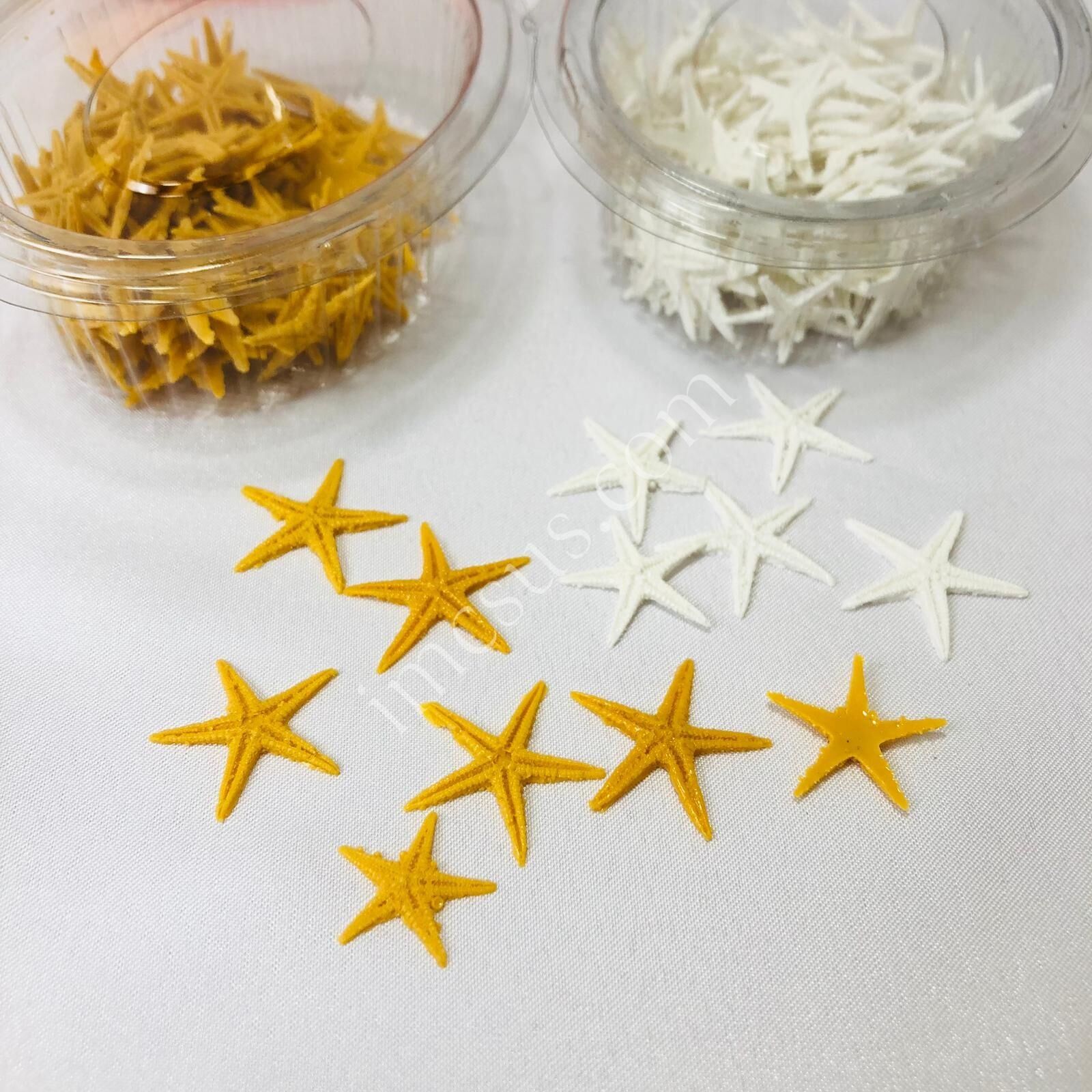 EPOKSİ DENİZ YILDIZI 100'LÜ