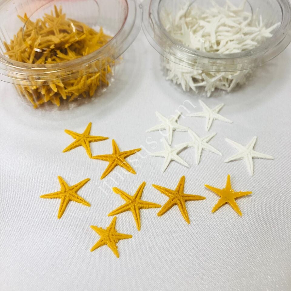 EPOKSİ DENİZ YILDIZI 100'LÜ